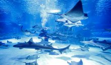 海底隧道读后感