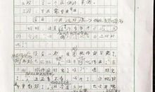 蜘蛛的启示作文500字