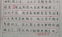 围绕中心意思写作文