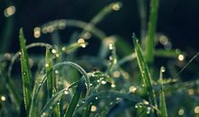 奉献是生命的意义