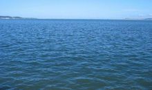 课本牵动我的情思