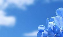 感恩让世界充满花朵