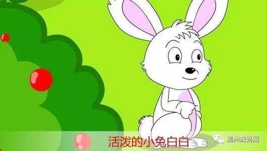 在森林里的选美大赛