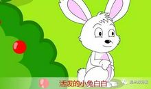 森林里的选美大赛