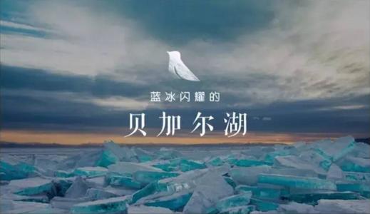 因为有你我才更勇敢
