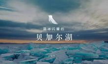 因为有你我更勇敢