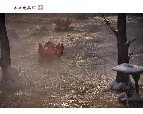 冬天美丽