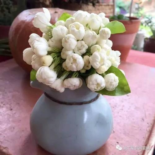 诀窍无价