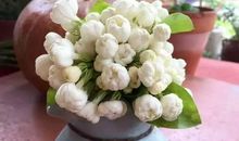 窍门是无价之宝