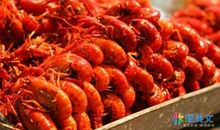 令我感动的一件事作文400字