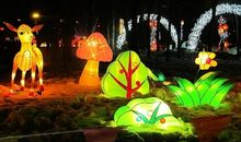 又是一年花灯展