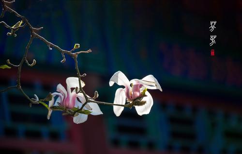 四个季节