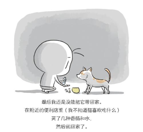 生活中有趣的现象