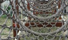 夜游锦林佛手园