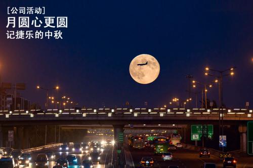 满月的心团圆