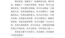 最美的青春我的班作文高中