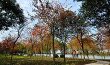 云龙湖的春夏秋冬