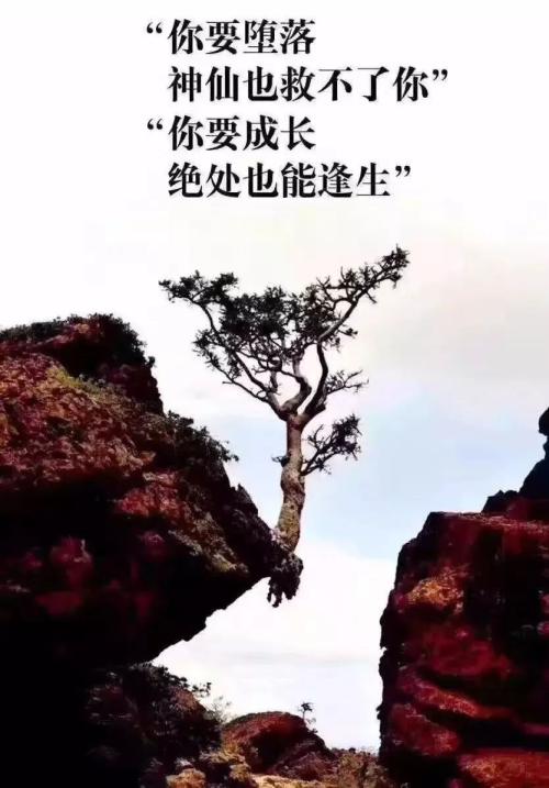 增长需求