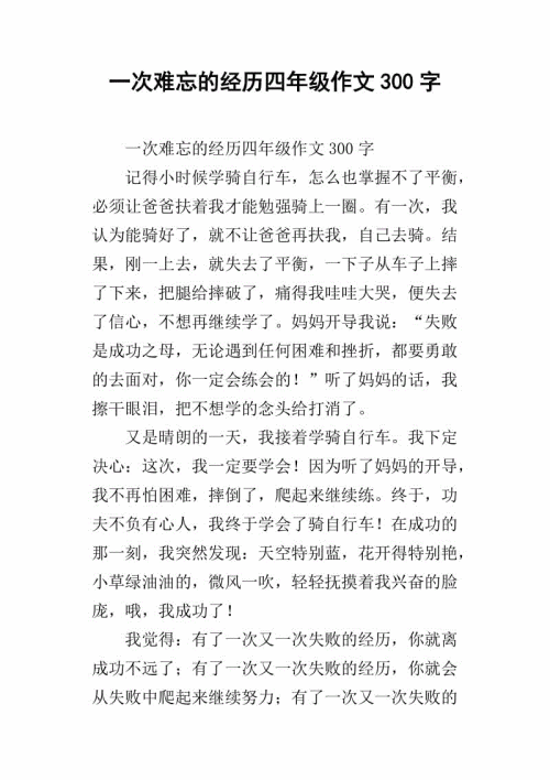 记住购物经历300字