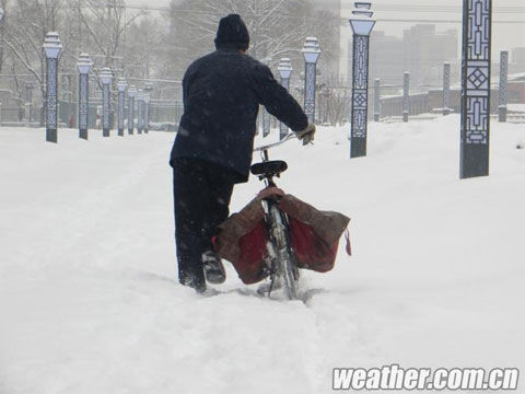 在雪中前进