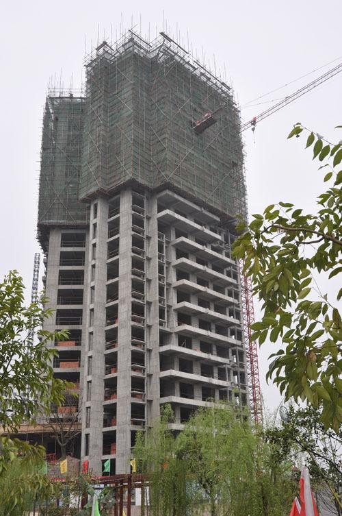 美丽的阳光花园