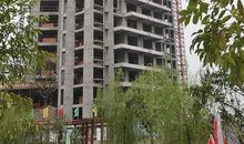 美丽的阳光花园