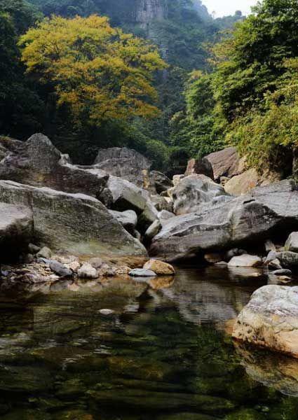 美丽的山