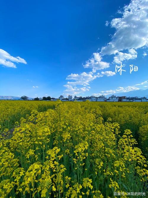 三月郊游