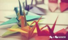 我读懂了千纸鹤