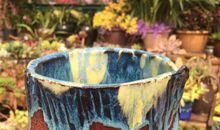 绽放自我的光彩