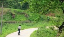 走在上学的路上