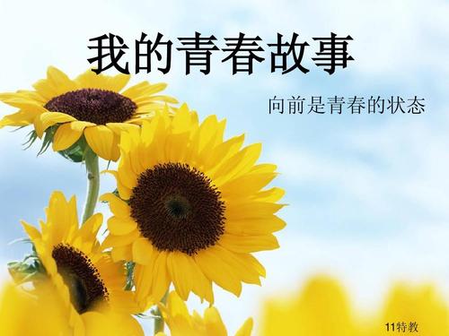 我的青春我的班级