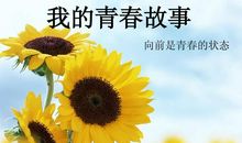 我的青春我的班