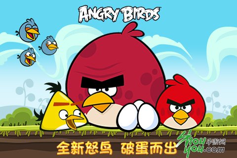 小鸟的朋友