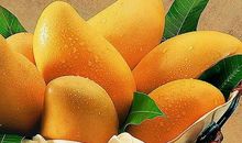 我爱吃的水果芒果