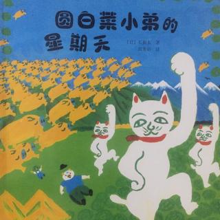有意义的星期日