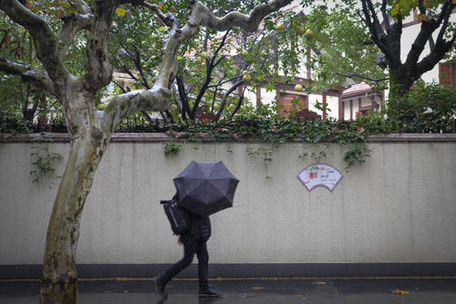 在秋雨中漫步