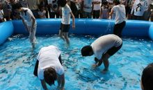 一次有趣的捉鱼比赛