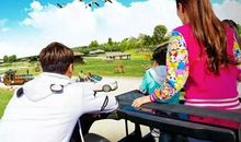 我的“趣”爸爸