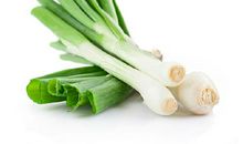 大葱