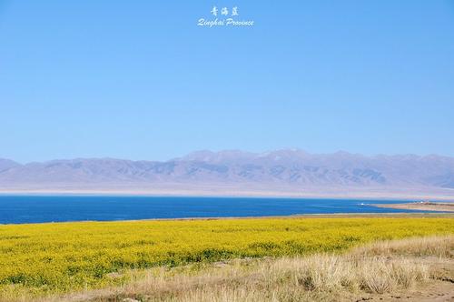 美丽的风景