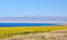 一道亮丽的风景线