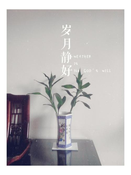 安静的时刻