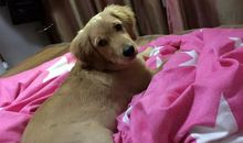 一路走来快乐多