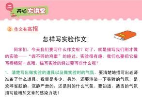坚不可摧的鸡蛋的组成