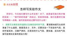 握不碎的鸡蛋的作文