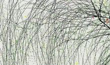 行走在诗歌的春天里