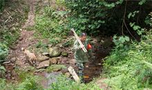 我爱家乡的山林