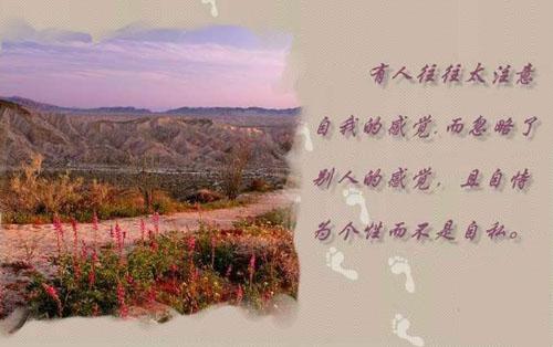 书·我·人生之路-学术人生之路随笔