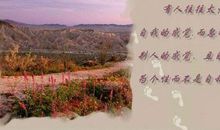 书·我·人生路——书香人生路征文